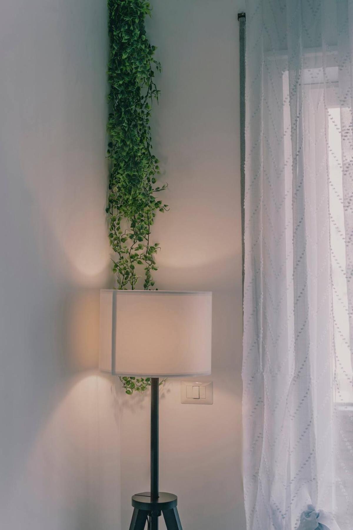 Apartment Ama 5 Minuti Dal Colosseo Rom